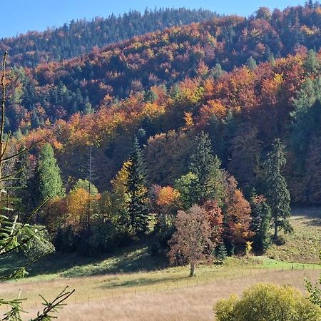 Appartamento Akra Zakopane Esterno foto