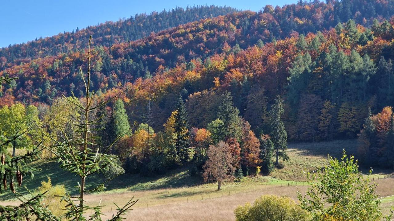Appartamento Akra Zakopane Esterno foto
