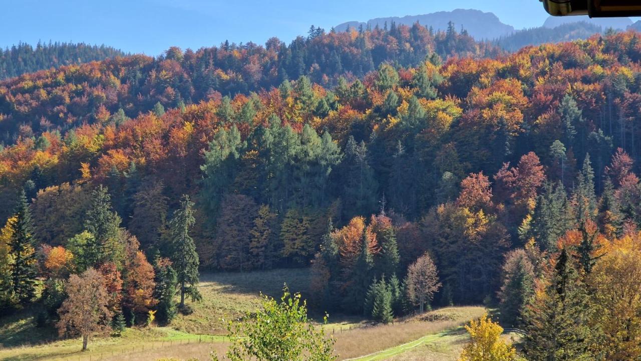 Appartamento Akra Zakopane Esterno foto