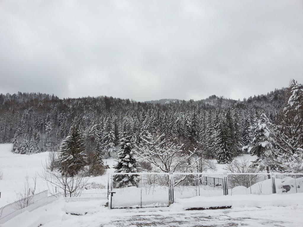 Appartamento Akra Zakopane Esterno foto