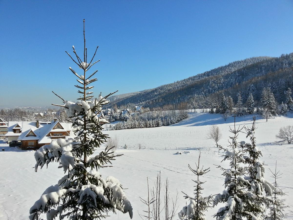 Appartamento Akra Zakopane Esterno foto